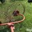3-pt-hay-inverter-rake-image-14