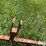 3-pt-hay-inverter-rake-image-10