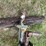 1995-kosch-mb14-image-9