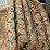 stud-king-38ft-tri-steer-header-cart-image-11