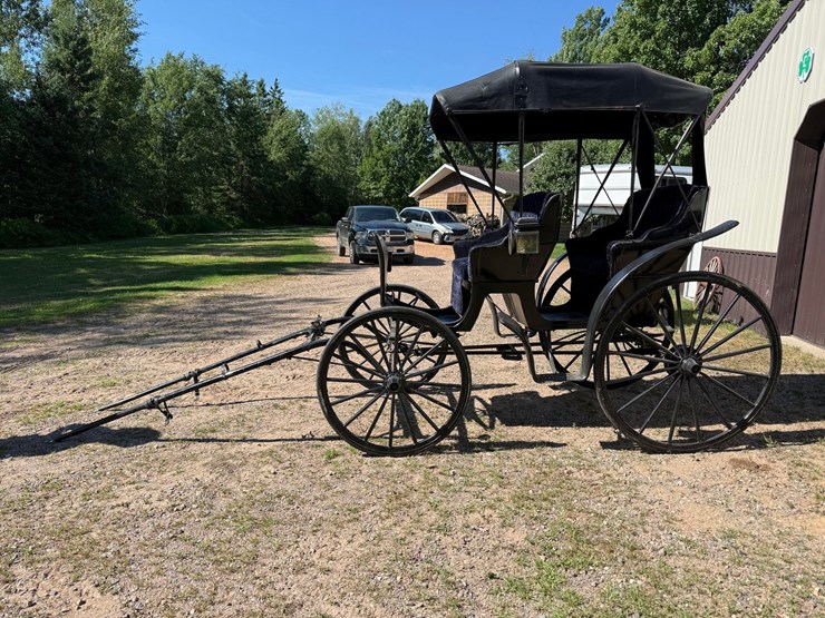 #2494-•-surrey-horse-wagon-image-2