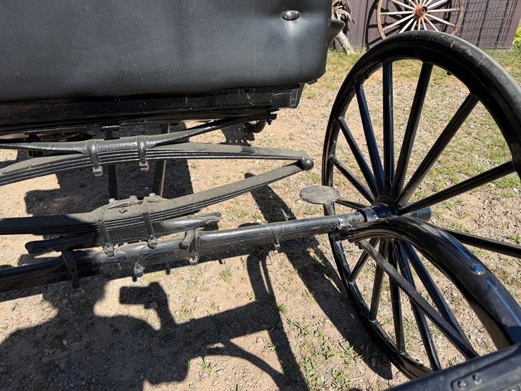 #2494-•-surrey-horse-wagon-image-12