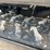 #5183-•-2026-cfg-industrial-kt13r-mini-excavator-image-46