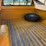 1985-chevrolet-c10-image-20