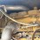 2002-caterpillar-980g-image-23