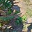 john-deere-400-image-18