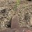 #1766-•-approx-24"-excavator-ripper-tooth-image-5
