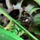 2011-john-deere-9770-sts-image-18