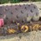 #2276-•-pull-behind-sheepsfoot-roller-image-5