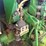 john-deere-640-image-37