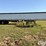 2009-timpte-grain-trailer-image-4