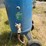 #9913-•-blast-pot-image-2