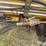 honey-bee-994-image-14