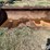 john-deere-71-image-2