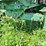 1974-john-deere-4430-image-16