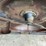2016-grasshopper-725dt6-image-13