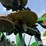 john-deere-2510h-image-14
