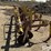 buffalo-4600-image-8