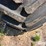 case-ih-2388-image-10