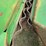 john-deere-3975-image-16