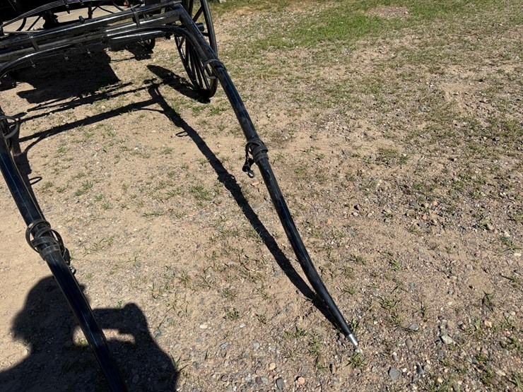 #2494-•-surrey-horse-wagon-image-9