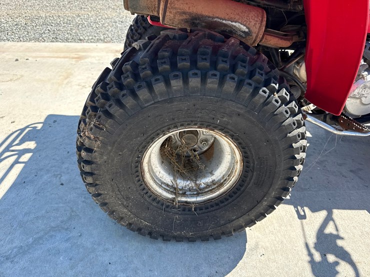 honda-fourtrax-250-image-22