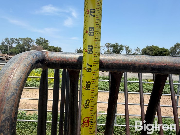 horse-hay-feeder-image-15
