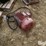 baldor-super-e-severe-duty-xex-electric-motor-image-7