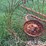 3-pt-hay-inverter-rake-image-20