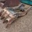 #39092-•-26in-excavator-thumb-image-1