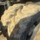 #1298-•-caterpillar-m318d-material-handler-image-64