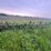 john-deere-rm-image-1