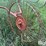 3-pt-hay-inverter-rake-image-17