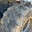 2014-timberpro-tf830-image-84