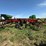 2010-case-ih-conser-till-690-image-4