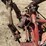 new-holland-450-image-16