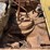 caterpillar-twenty-image-20