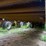 #1497-•-2005-stoughton-53'-avw-535t-s-c-ar-image-34