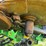 john-deere-2510h-image-13