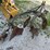 john-deere-2-image-5