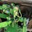 2024-john-deere-3046r-image-10