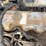 2000-gmc-t6500-image-45