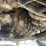2016-kia-sorento-sx-image-42
