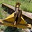 3-pt-blade-image-17