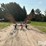 tonutti-rcs12-image-2