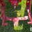 international-h-image-14