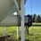 amber-waves-hopper-bin-image-5