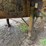 2004-utility-fs2cha-image-19