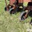 krause-4708-8r30"-no-till-cultivator-image-15