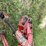 1998-new-holland-664-image-9